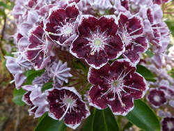P1000822 A (2015_12_27 14_09_31 UTC)1