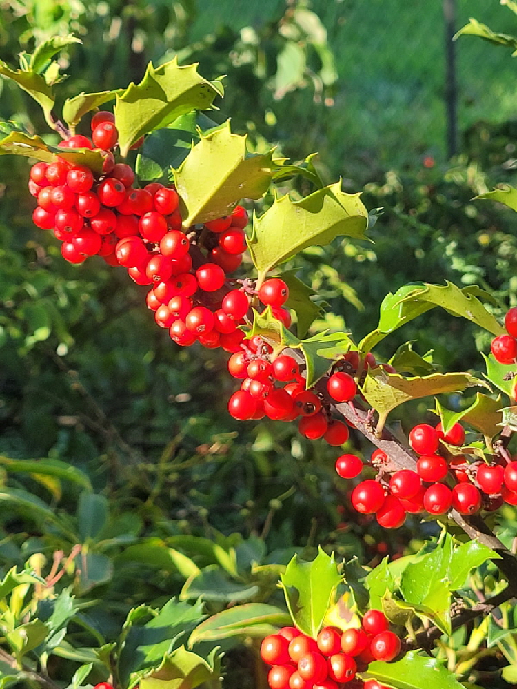 WhatsApp Bild 2025-09-04 um 14.01.56_00cb2860