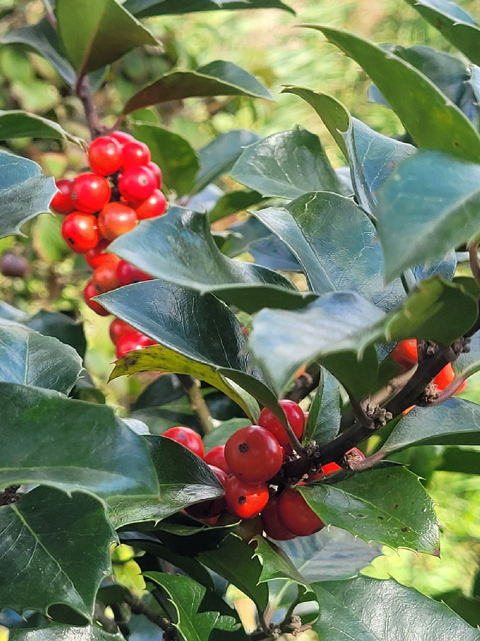 WhatsApp Bild 2024-09-12 um 14.31.33_7ddfdd23