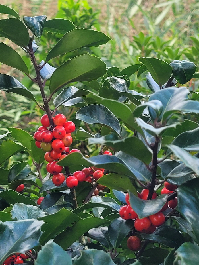 WhatsApp Bild 2024-09-12 um 14.31.33_911ac2da