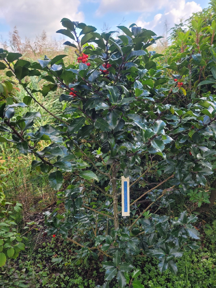 WhatsApp Bild 2024-09-12 um 14.31.33_c22cdfdb