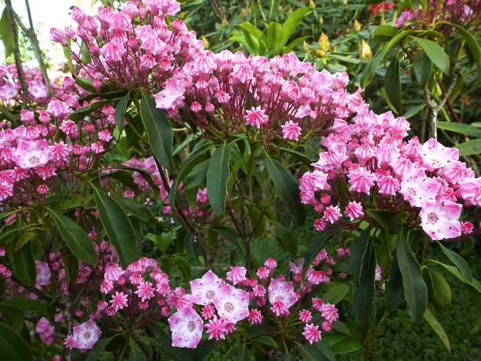P1040268