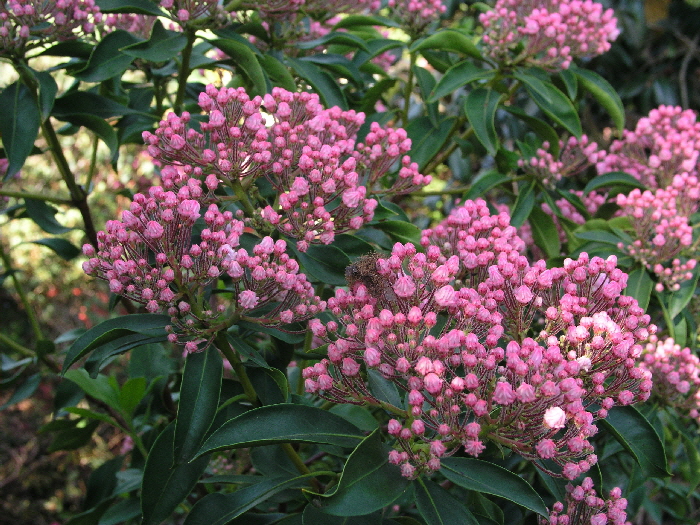 P6020110