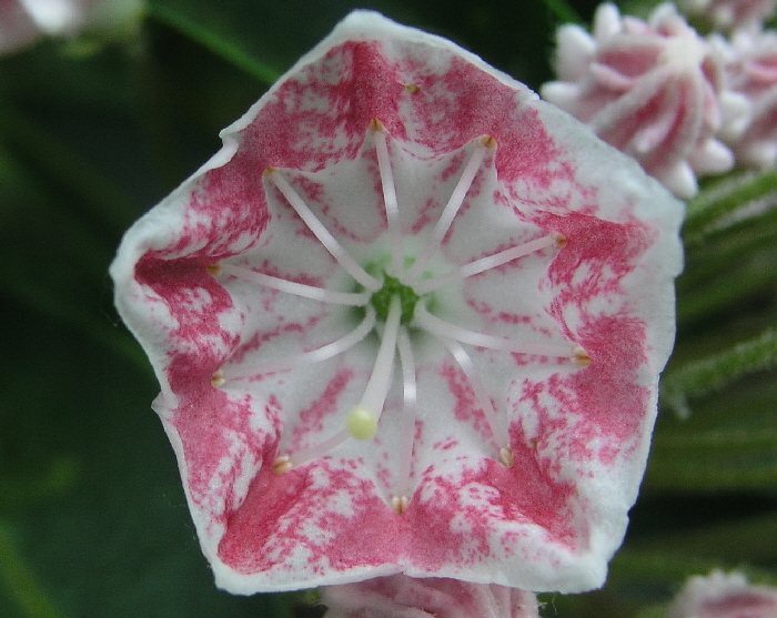 P6100321