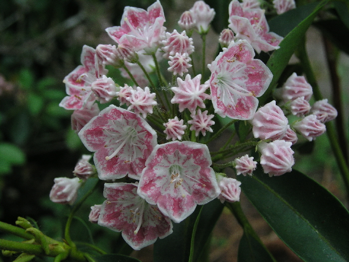 P6110483