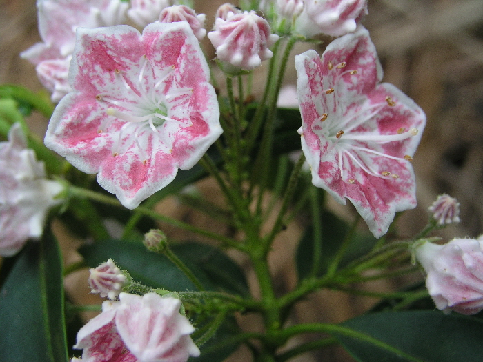 P6110495