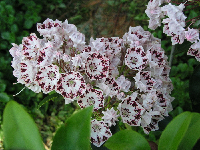 P5300519