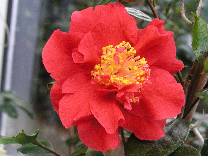 P1080156.JPG A