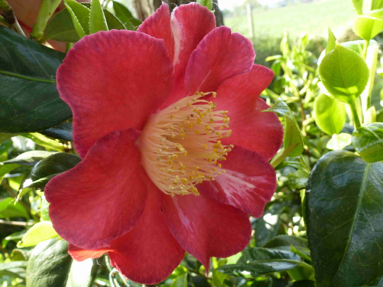 P1020961